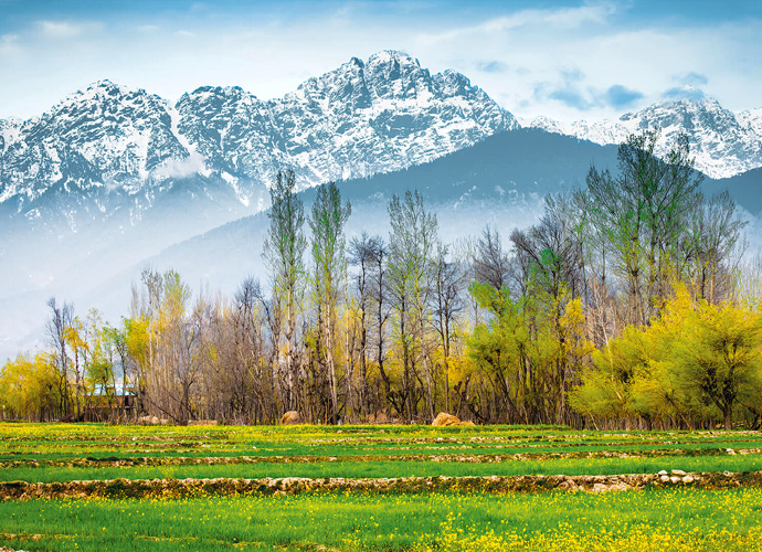Kashmir Valley Tour Package - 4 Nights / 5  Days