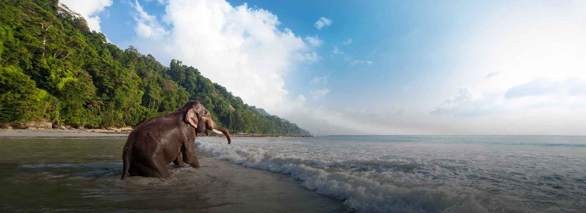 Andaman Tour Packages