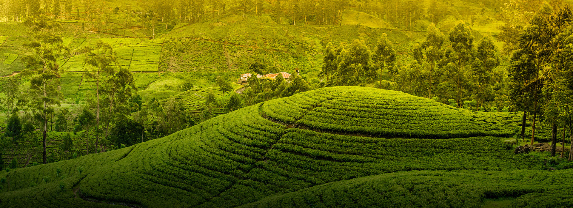 Kerala Tour Packages