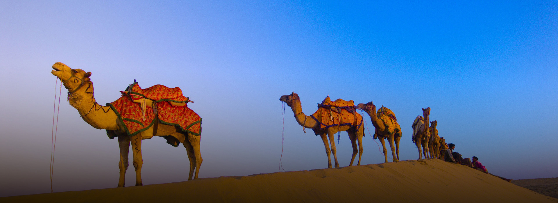 Rajasthan Tour Packages