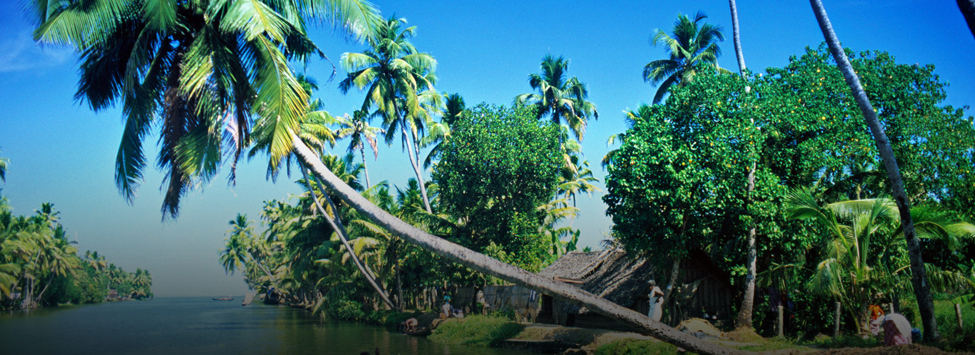 Spicy Kerala Tour Package