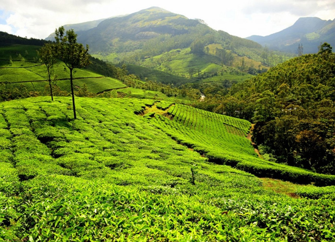 Magical Kerala Tour Package