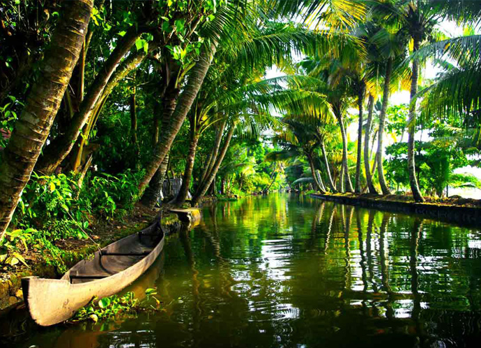 Wayanad Kerala Tour Package